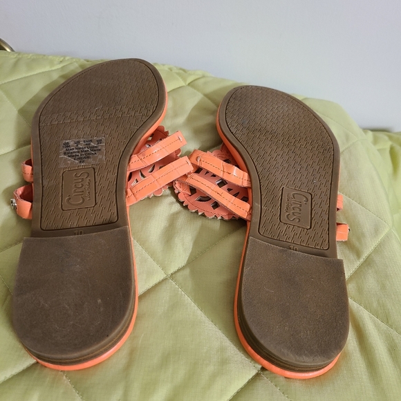 Circus by Sam Edelman Peach Flip-Flop Thing Sandal - Picture 5 of 7